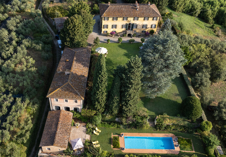 mainok Property estate